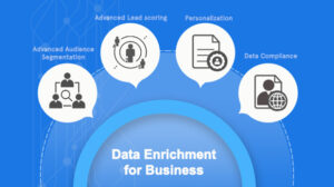 Data-Enrichment | Saras Analytics