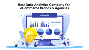 Best Data Analytics Company for eCommerce Brands and Agencies in Seattle